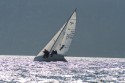0_2778824_276894.jpg