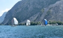 0_4486591_276894.jpg